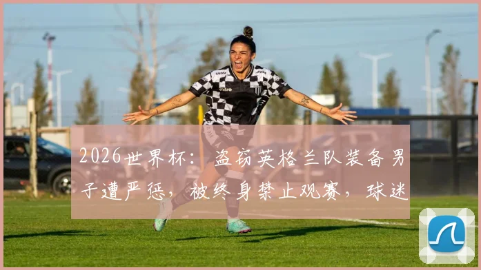 2026世界杯：盗窃英格兰队装备男子遭严惩，被终身禁止观赛，球迷违规代价高昂